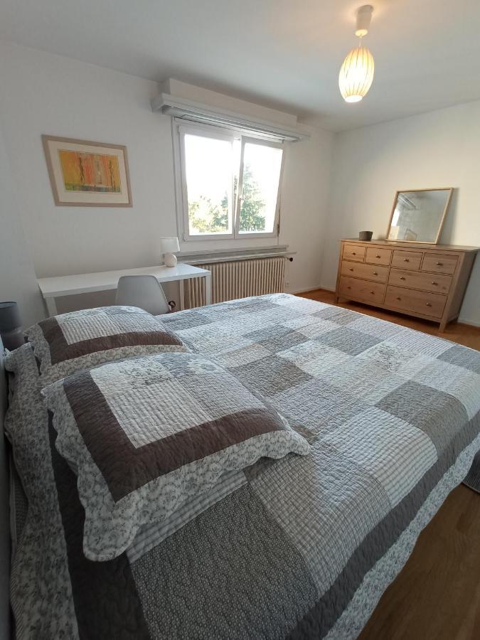 Rare A Colmar - Appartement Champ De Mars Vue Sur Parc - 70M2 - 2 Chambres Екстериор снимка
