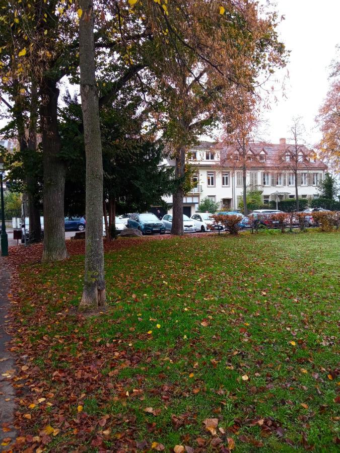 Rare A Colmar - Appartement Champ De Mars Vue Sur Parc - 70M2 - 2 Chambres Екстериор снимка