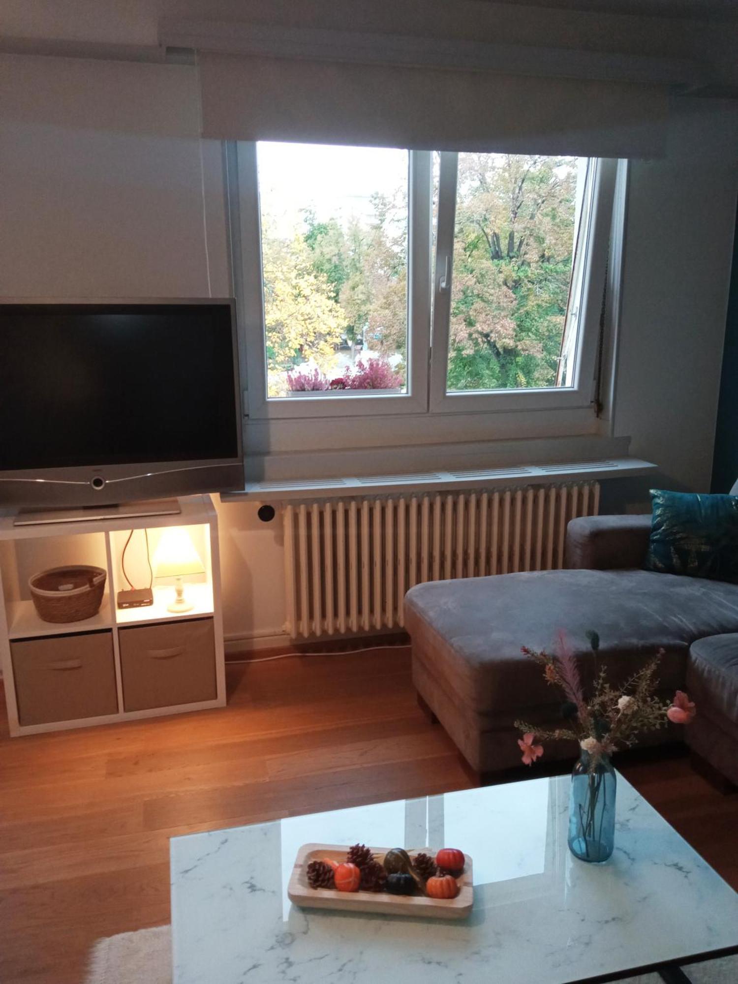Rare A Colmar - Appartement Champ De Mars Vue Sur Parc - 70M2 - 2 Chambres Екстериор снимка